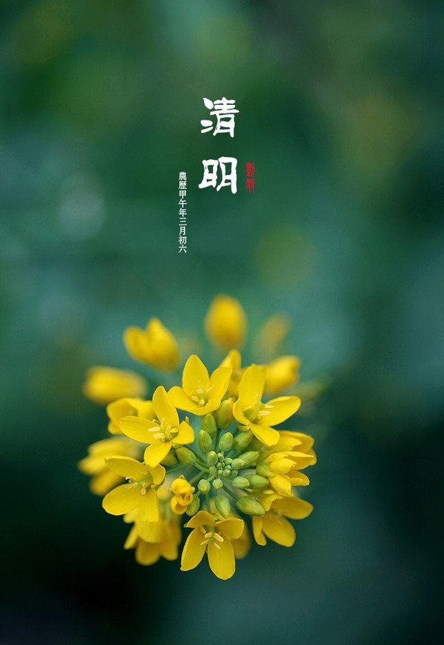 《新版头条》九洲诗词文学佛山分社精选特刊(清明)(图37)
