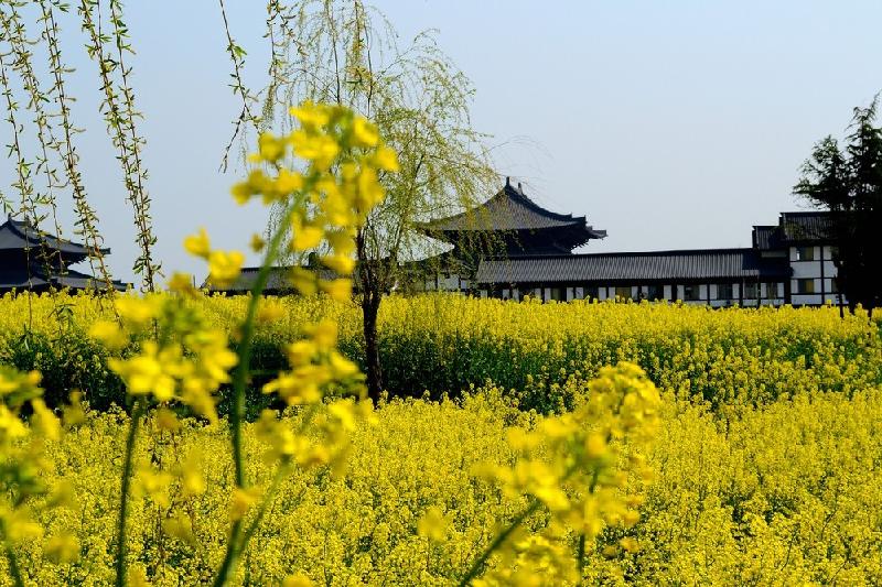《新版头条》九洲诗词文学佛山分社精选特刊(清明)(图17)