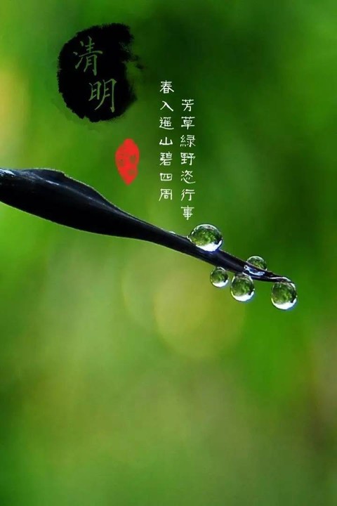《新版头条》九洲诗词文学佛山分社精选特刊(清明)(图29)