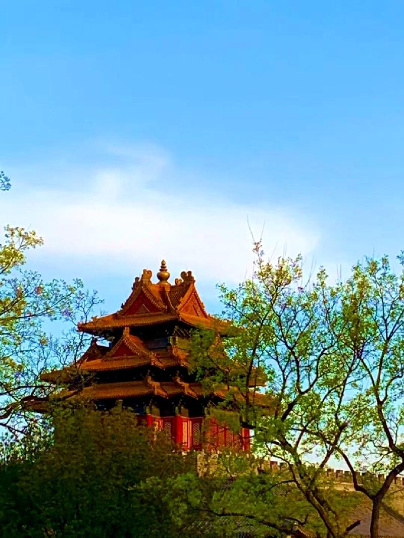 《新版头条》九洲诗词文学佛山分社精选特刊(清明)（图44）