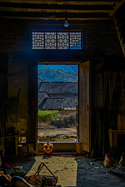 dpic.tiankong-1617502802939.