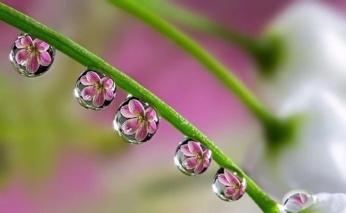 【当代文艺】《雨露(外四首》作者:宏飙(图3)