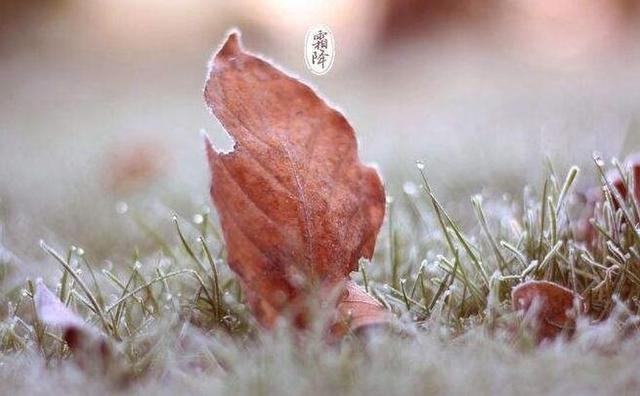《原创精品》春雨诗三首：文／张亚勋（陕西韩城）（图2）