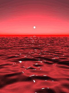 mmexport1613023625269.