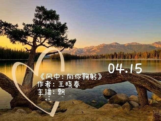 【彩红国际文化传媒】隆重推出风中:向你鞠躬 作者:王晓春 主播:飘(图3)
