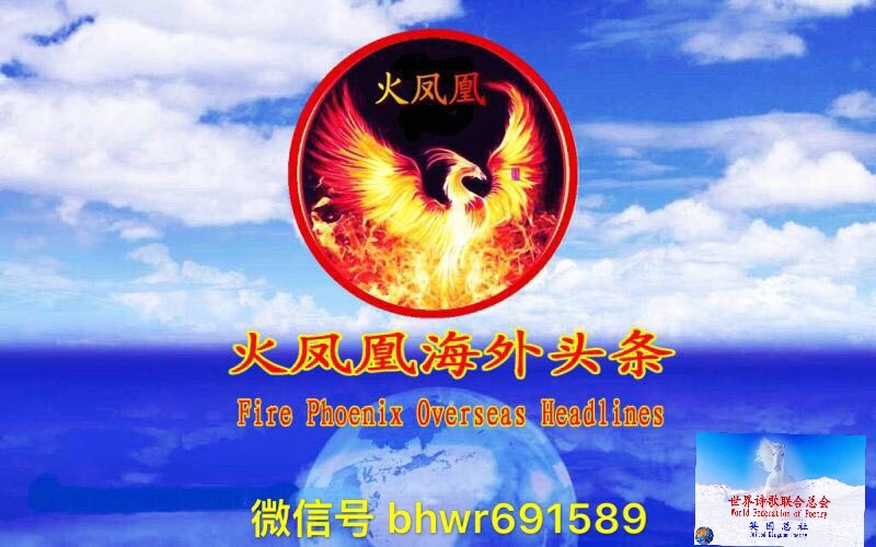 一生的爱： 作者阿立｜英国总社｜海外头条（图6）