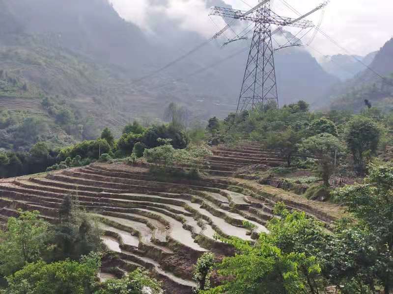 谷雨词四首 丨文/黄发滨(图3)