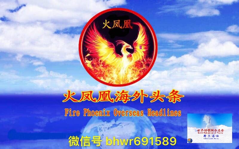 情殇 ：作者一木｜荷兰总社｜海外头条（图5）