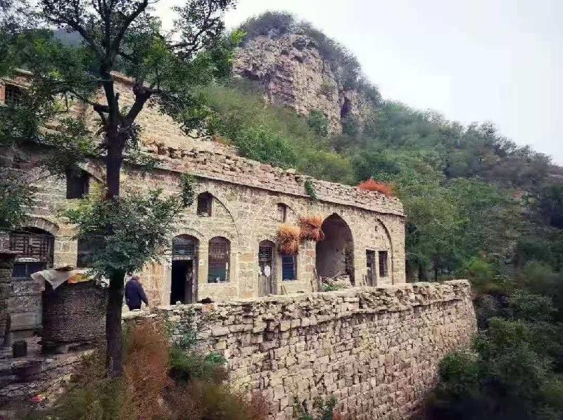 荆条开花也是个景-京津沪头条 文/李好书(图3)