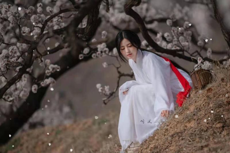 嫣然一笑词欣赏‖春光好.吟花(词七首) 摄影:听风(图5)