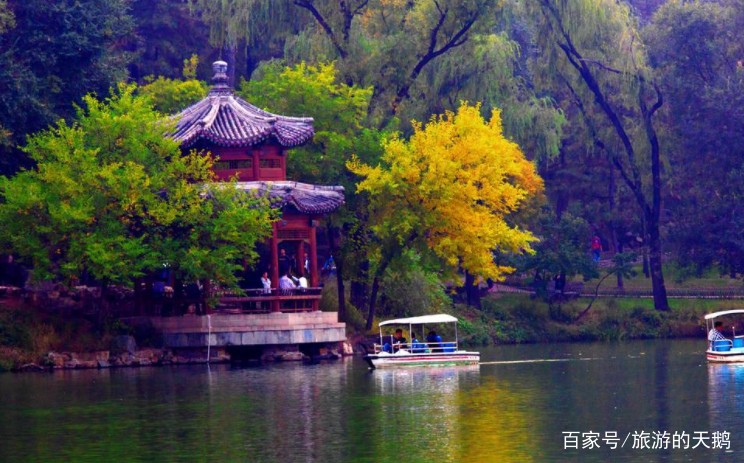 西江月.网络情怀（外五首） 王仲飞〔北京〕制作 冰心*幽蓝【冰心文化传媒】（图7）