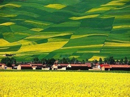 《散文诗》清风明月入怀抱：作者／何俊峰（陕西西安）（图3）