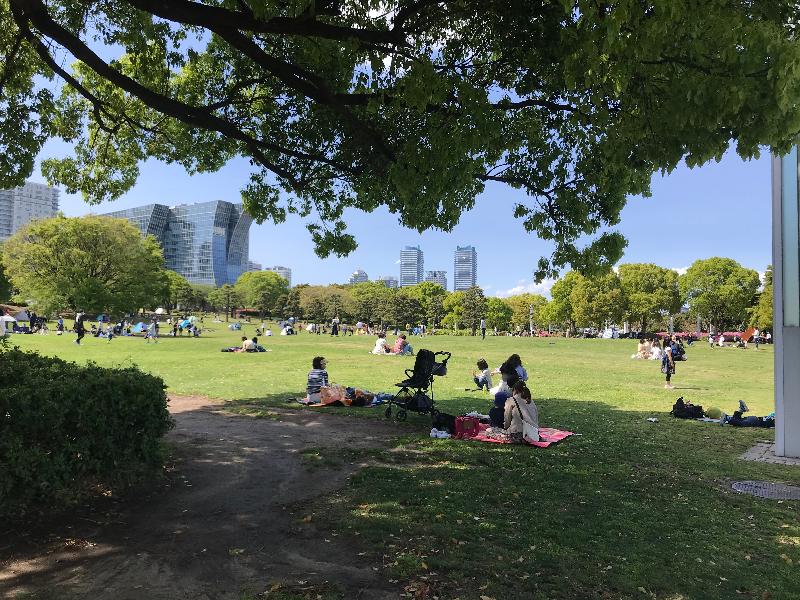 暮春词《蝶恋花》五首~文/梧桐(图2)