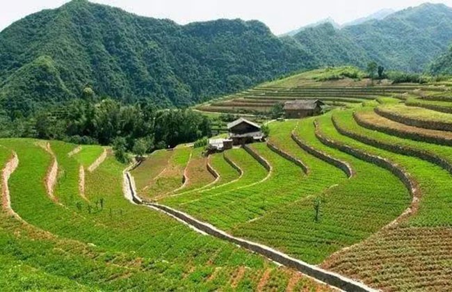 七先生诗歌欣赏‖种地-京津沪头条 主播/阎君(图2)