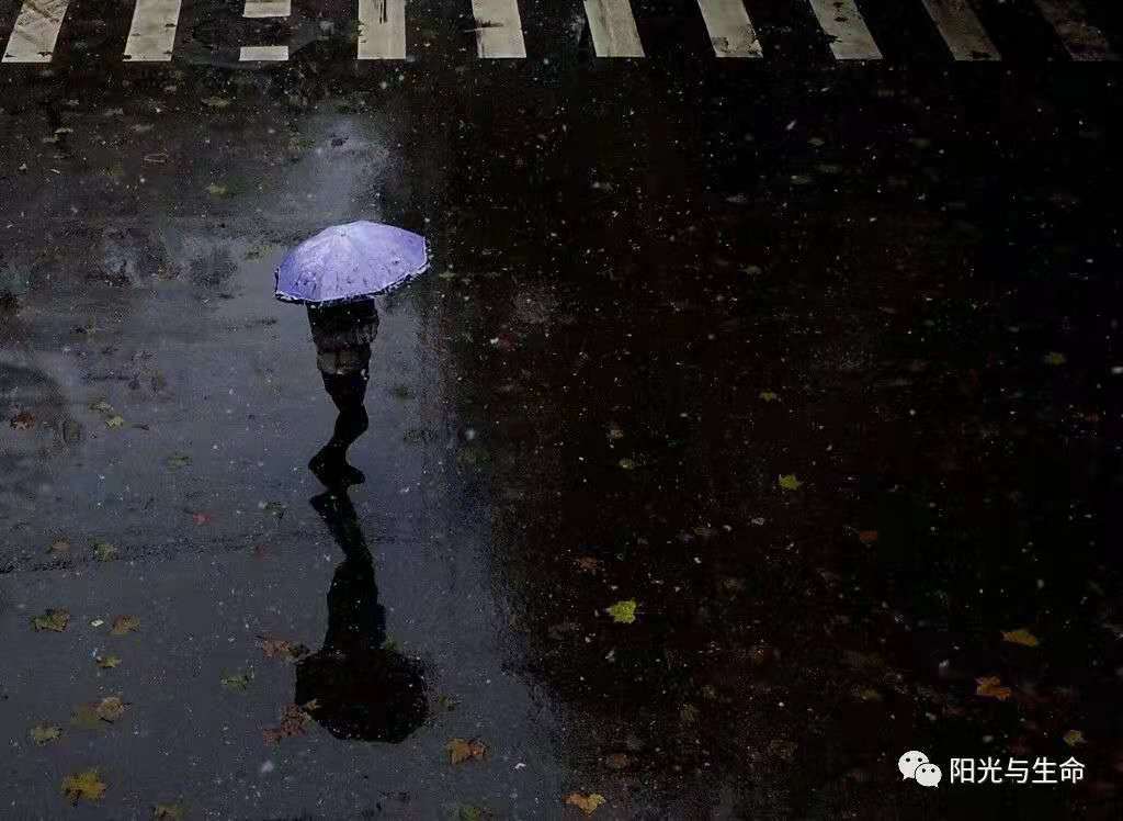 寰俊鍥剧墖_20210428091224.jpg