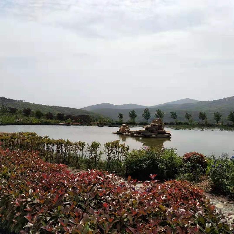 锦屏山生态园之歌 文‖云鹤子(图6)