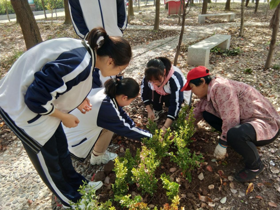 大渡口中学党总支:环境整治当先锋 清洁家园见行动(图4)