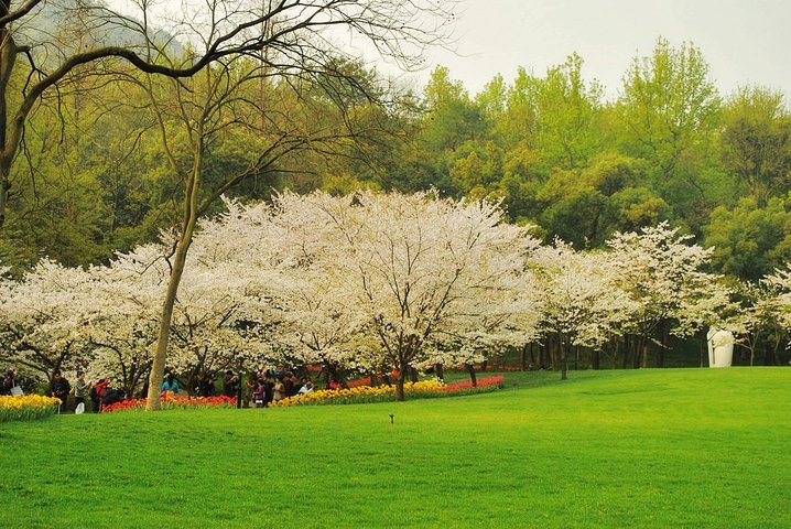 《山东诗人王波》诗词选（图12）