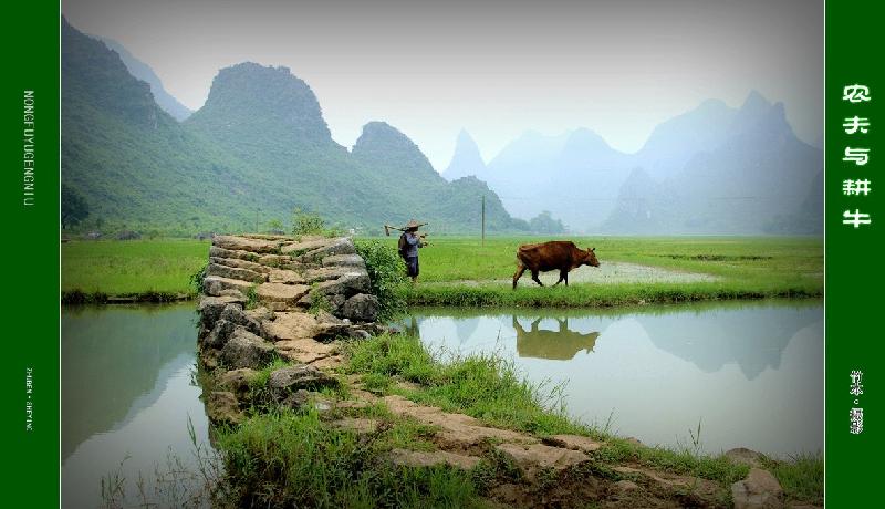 七律 谷雨 文/飞乘雾绕（山东）（图2）