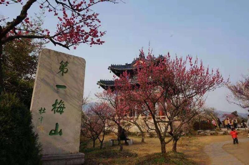 七排-南京梅花山抒怀（外一首）文‖浴乎沂（图3）