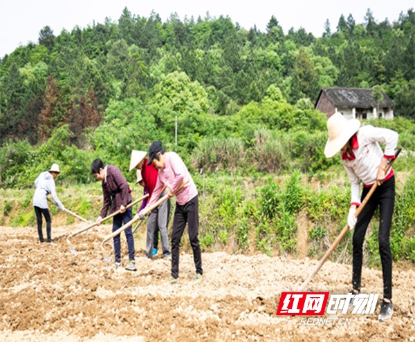 《庆五一》劳动光荣：文／张亚勋（陕西韩城）（图3）