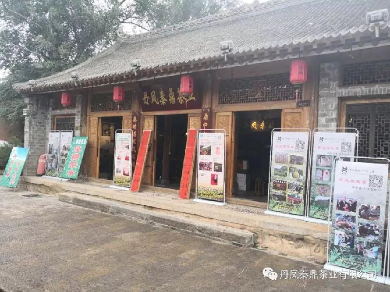 丹风秦鼎茶第四届散文二等奖作品:文/任水民