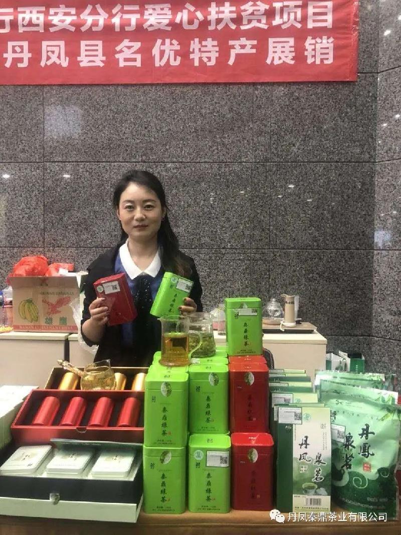 丹风秦鼎茶第四届散文二等奖作品:文/任水民(图4)