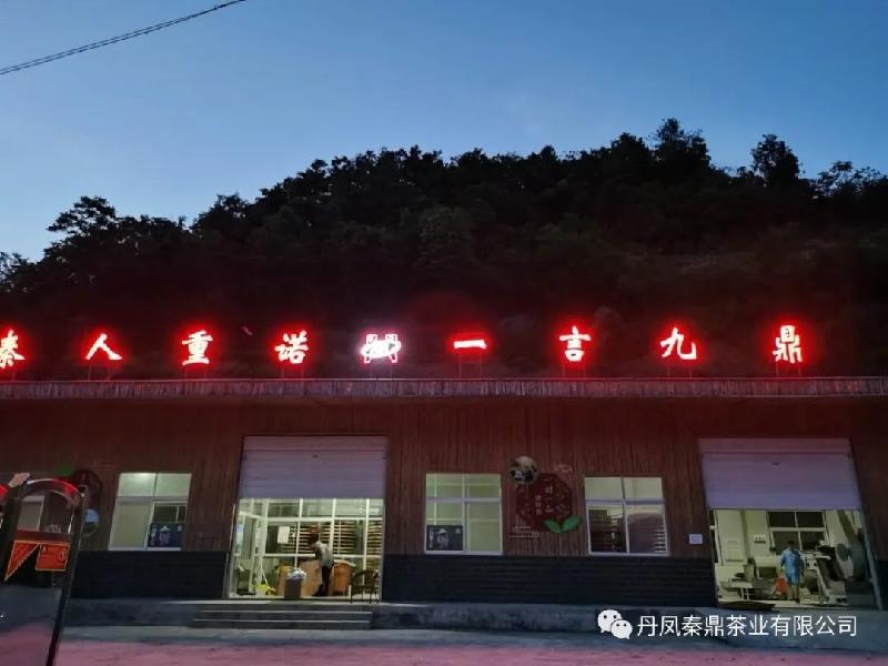 丹风秦鼎茶第四届散文二等奖作品:文/任水民(图6)