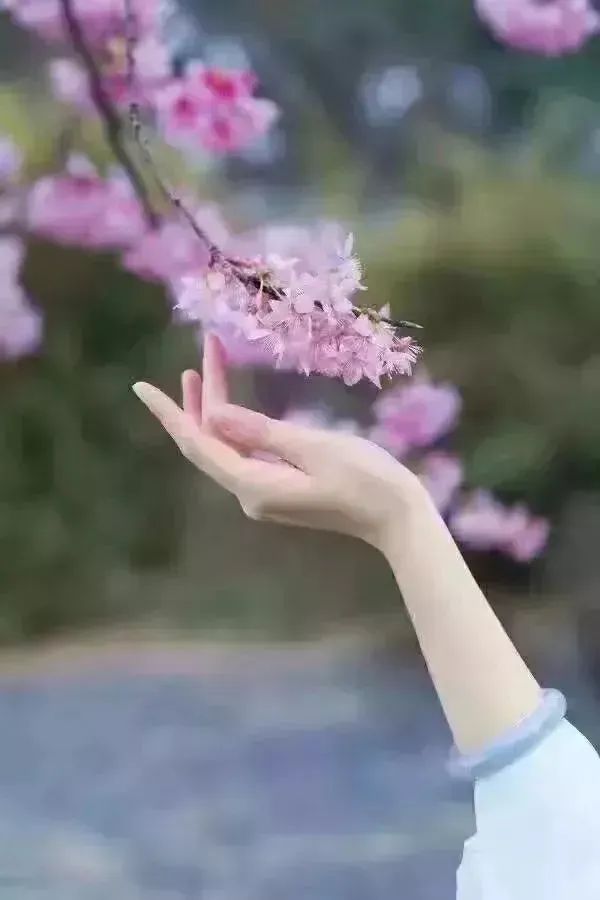 【新山东文学社】重磅推出:十位著名主播合诵《春之序曲（十首）》作者/阿牛哥（图6）
