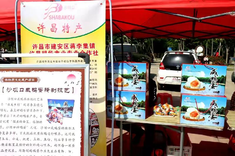 建安区人民文化馆参加建安区旅游发展年推介会活动 文化助力旅游（图16）