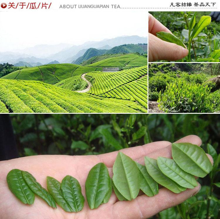 1620117207223041051.jpg src=http_%2F%2Fimgqn.koudaitong.com%2Fupload_files%2F2014%2F06%2F17%2F7fdfcd779d8fe9a8b6b7826f1ec4d8fb.jpg&refer=http_%2F%2Fimgqn.koudaitong.jpg