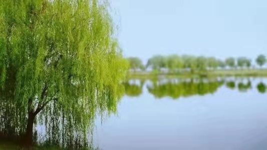 ［正宫·脱布衫带过小梁州］暮春茉莉河公园晨练即景（中华新韵） 文/白 洁 （内蒙）【冰心文化传媒】（图3）
