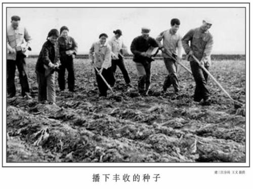 李荣久//知青往事{第七、八集}(图10)