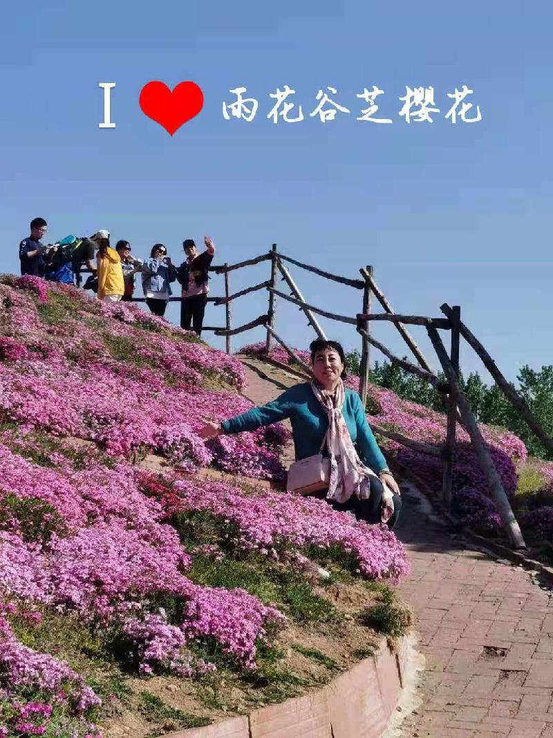 雨花谷 我们来了丨文/杨雁斌