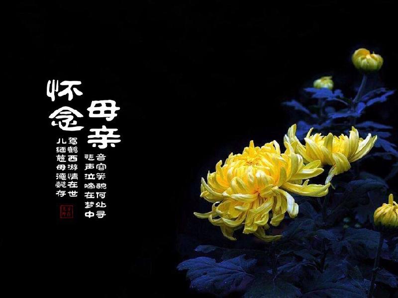 姚崇实〔河北〕怀念母亲专辑 制作 冰心*幽蓝【冰心文化传媒】(图6)