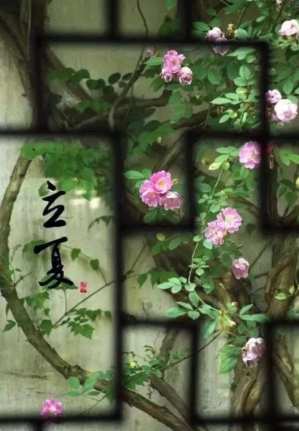 《臨江仙》外二首 ——初夏漫步 作者:萧军〔陕西〕制作 冰心【冰心文化传媒】(图8)