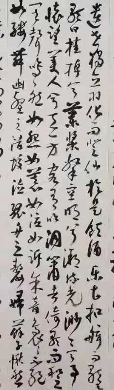 蒋新文书法作品选_武汉头条(图17)