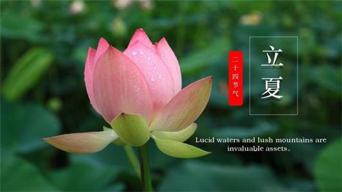 天津诗人田恩来老师新作《 立夏初怀 》