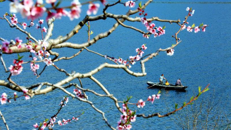 青岛聆泉诗社010期｜诗词精选169首｜【摄影：吴文山】（图28）