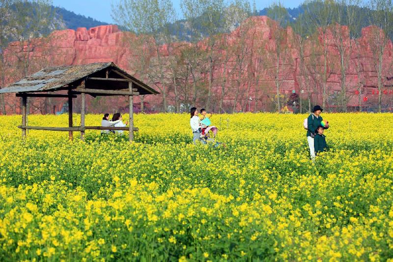 青岛聆泉诗社010期｜诗词精选169首｜【摄影：吴文山】（图51）
