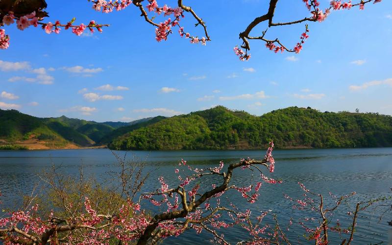 青岛聆泉诗社010期｜诗词精选169首｜【摄影：吴文山】（图10）