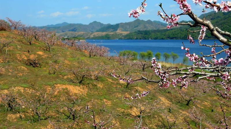 青岛聆泉诗社010期｜诗词精选169首｜【摄影：吴文山】（图14）