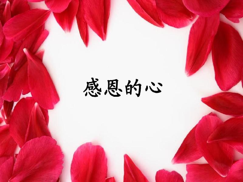 邱建铭(广东)诗词专辑【冰心文化传媒】(图11)