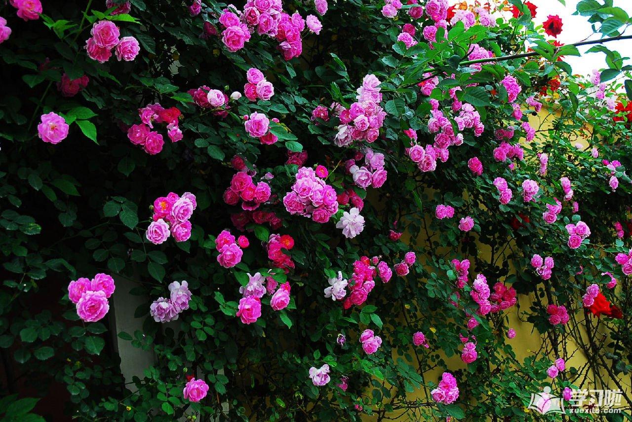 src=http_%2F%2Fuploads.xuexila.com%2Fallimg%2F1710%2F1131-1G02014064S47.jpg&refer=http_%2F%2Fuploads.xuexila.jpg