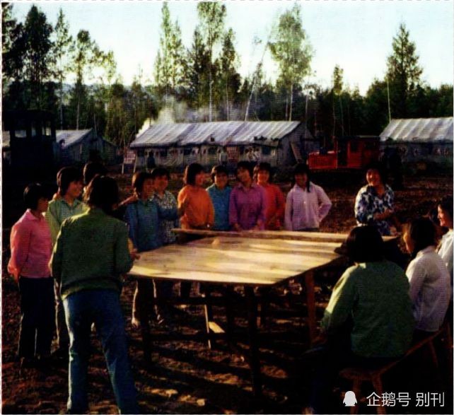 七律.知青岁月 文/齐宪(黑龙江)【冰心文化传媒】（图4）