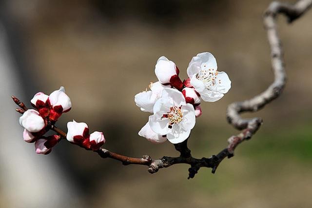 七绝·长绳日练（四）七十首-京津沪头条 蔡雨芳华（图24）