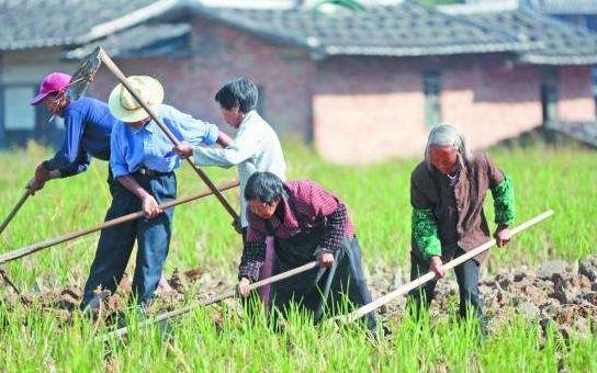 七律•雨天随咏 文/感悟人生（图2）