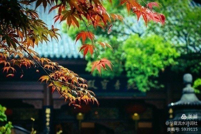 【华夏联合诗报第三期】（图11）
