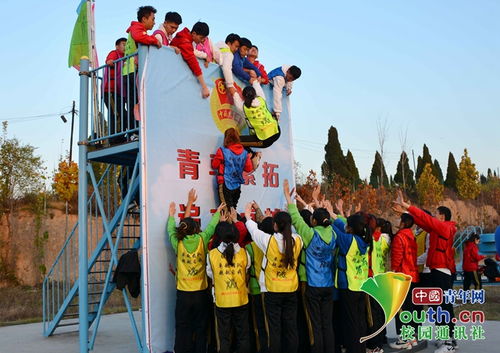 杨林:振奋人心的音乐（图3）