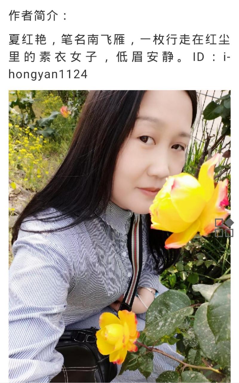 南飞雁:想你的夜，月很圆（图6）